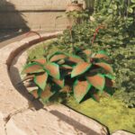 How to get Paradisan ladder in Avowed