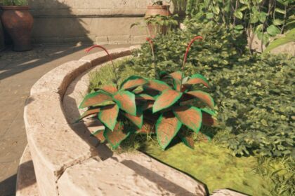 How to get Paradisan ladder in Avowed