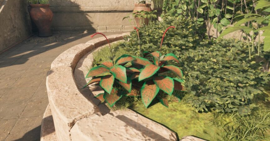 How to get Paradisan ladder in Avowed