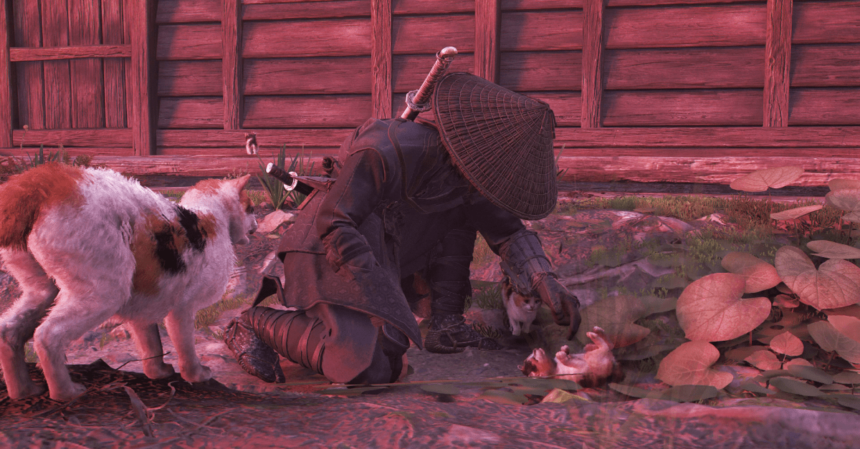 Where to find ‘Cat Island’ in Assassin’s Creed Shadows