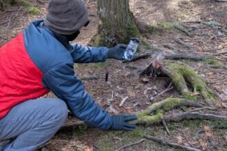 I turned a mossy tree into a 3D world and walked inside with my Quest 3