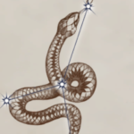 The best birthsigns in Oblivion Remastered