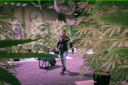 GTA Online update for the week of April 17