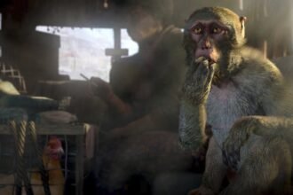 Ubisoft mistakenly censors Far Cry 4, restores boobs and dong