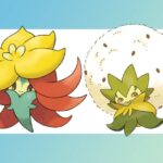 How to get Gossifleur and evolution Eldegoss in Pokémon Go