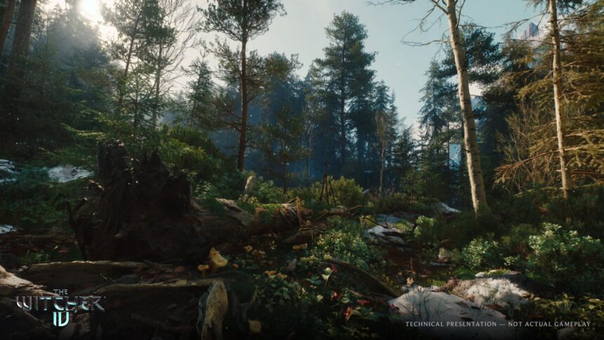 The Witcher 4_02