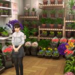Persona 5 The Phantom X flower shop questions and answers