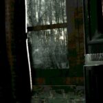 S.p.l.i.t review
