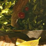 Where to find lingonberries for lingonberry leather in Grounded 2