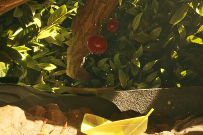 Where to find lingonberries for lingonberry leather in Grounded 2