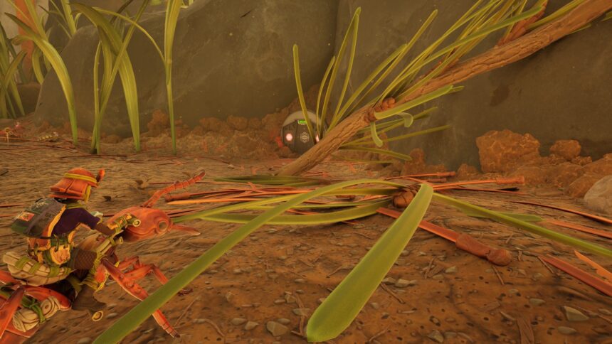 Where to find pine needles in Grounded 2