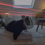 Deadpool &amp; Laser Dance Lead Store Wishlists On Quest Headsets In September 2025
