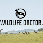 Wildlife Doctor Turns Safari Healthcare Into VR Trauma Center