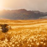 Ghost of Yōtei’s Open World is a Cut Above Its Competition