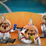 Jackbox CEO isn't worried about Amazon or Netflix coming for the party game crown