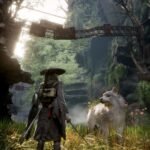 beast of reincarnation