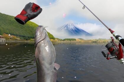 Real VR Fishing Sold One Million Copies So Far