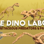 Le Dino Labo's Latest DLC, Cretaceous Predators &amp; Prey, Out Now