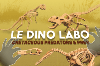 Le Dino Labo's Latest DLC, Cretaceous Predators &amp; Prey, Out Now