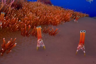 Subnautica 2 has no combat, and that's a good thing
