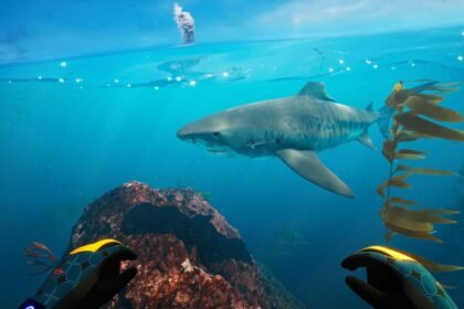 Makoa Shelf, Subside's New Expansion, Is A Must-Own Experience On PlayStation VR2 and PC VR