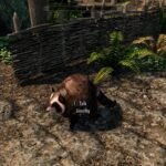 Jimothy the Raccoon is already in Skyrim and Stardew Valley