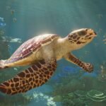 planet zoo 2 aquatic