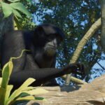 Planet Zoo 2 is Available Now, Launch Trailer Showcases Lifelife Animals