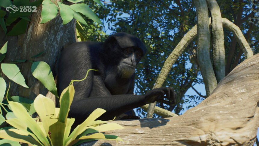 Planet Zoo 2 is Available Now, Launch Trailer Showcases Lifelife Animals