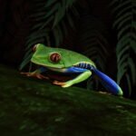 Planet Zoo 2