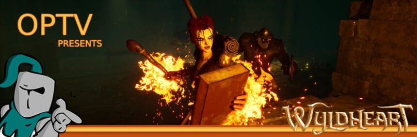 The Stream Team: A first beta look at co-op RPG Wyldheart